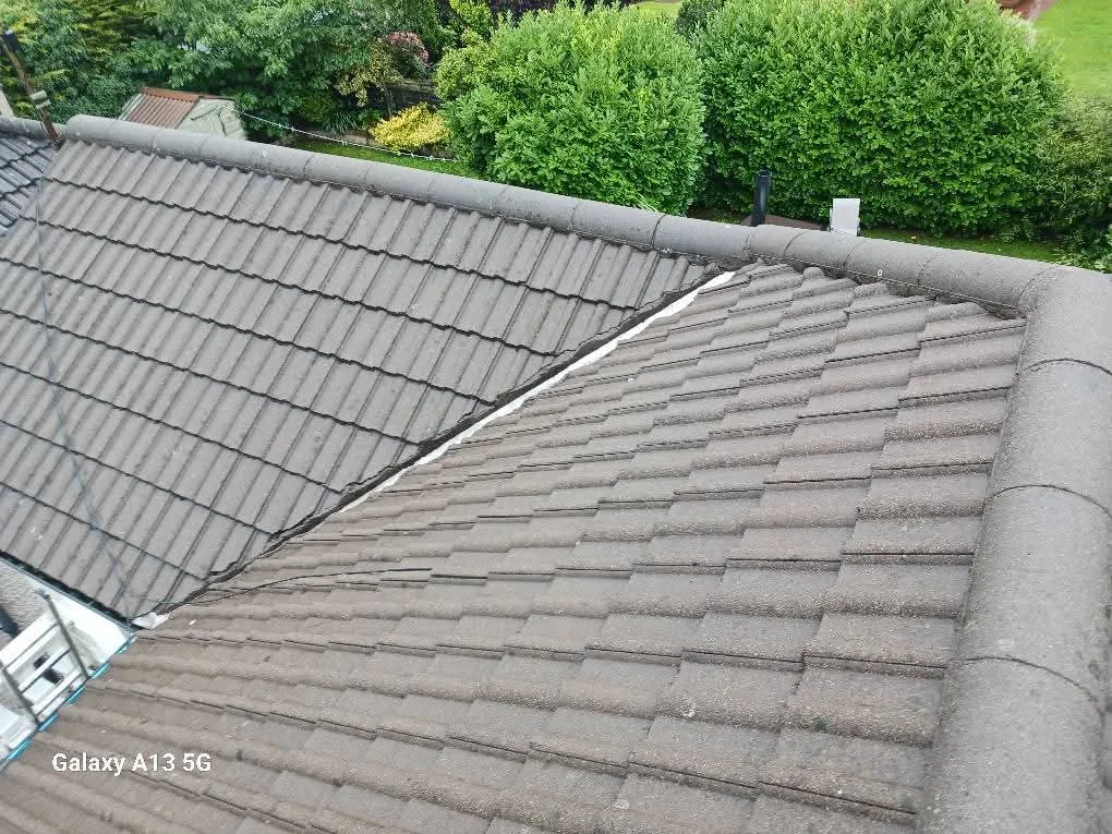 Roof cleaning project